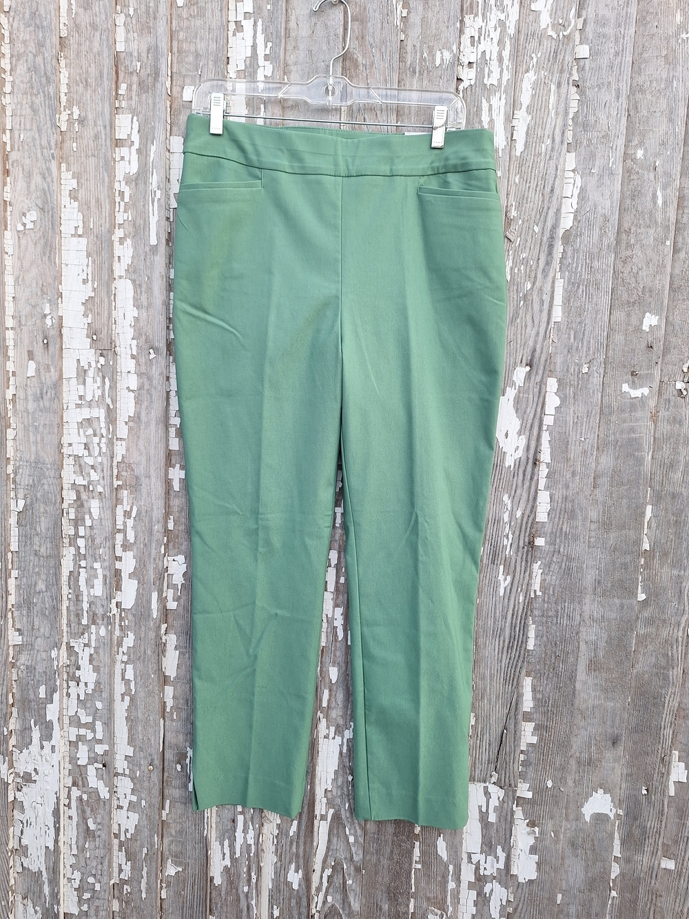 Chico's Envy Green So Slimmimg 360 Brigitte Slim Leg Pants Size 1 / 8 NWT